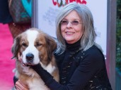 Oscar-winning actress Diane Keaton dead at 79: report
