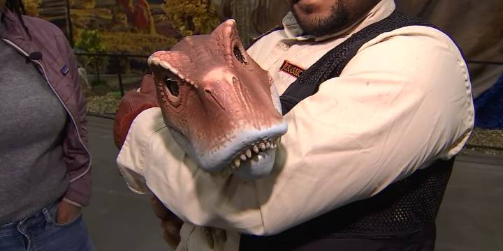 Weekend Roundup: Bourbon festival, Lego adventure and more in Central Kentucky
