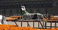 Ofrenda Monumental 2025 en el Zócalo: Fechas, horarios y actividades