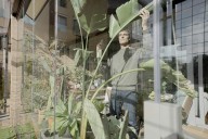 Estas son las mejores plantas para decorar tu terraza en otoño