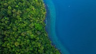 2024 Saw Higher Levels Of Carbon Dioxide In The Atmosphere Than Ever Before