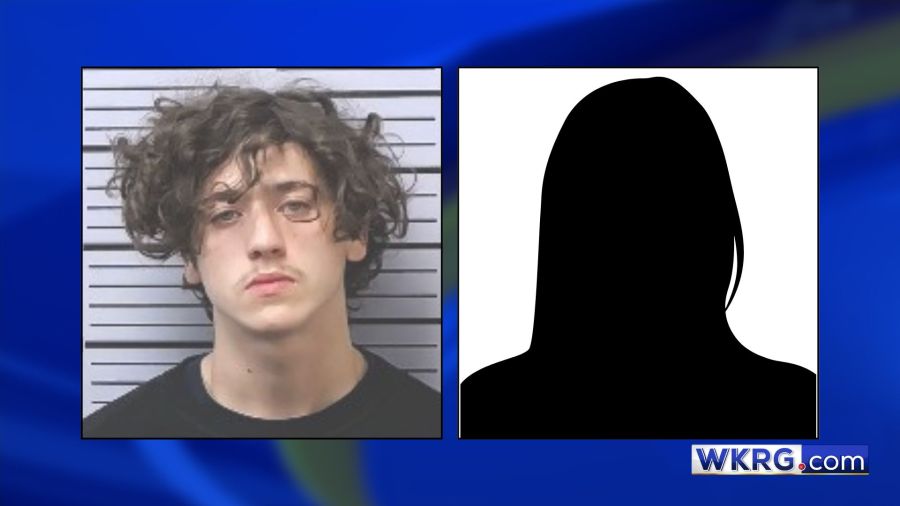 Car break-in suspects arrested in Mobile