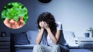 Cómo usar la planta de menta para evitar el insomnio por las noches: truco casero efectivo
