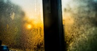 Little-known £1 item that helps keep windows free from condensation