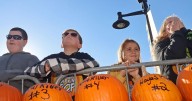 Gourds vs. gravity: WV students put physics to use at Capital City Pumpkin Drop