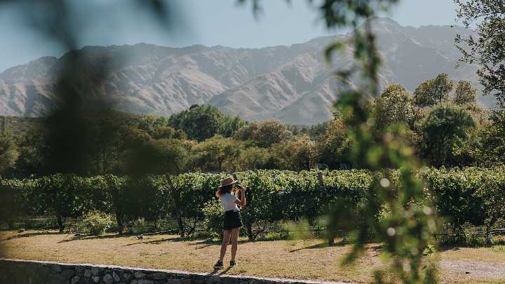 Enoturismo en Córdoba: todos los detalles del turismo del vino por las sierras