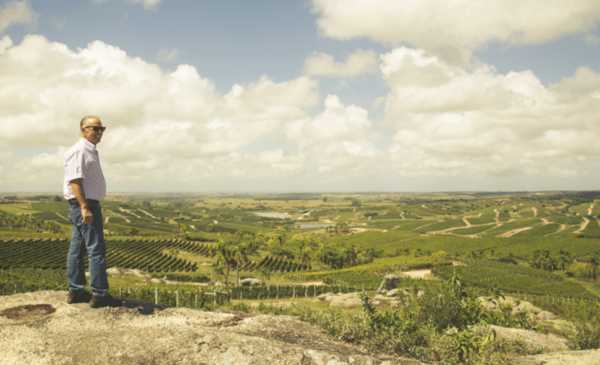 Alejandro Pedro Bulgheroni, reconocido con el “Lifetime Achievement Award” por Wine Enthusiast