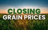 Closing grain prices Monday, October 27