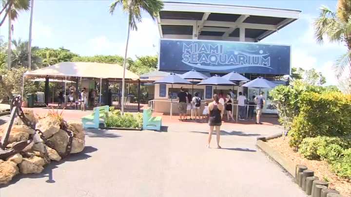 Federal judge approves developer’s proposal to purchase Miami Seaquarium from Miami
