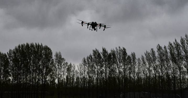Todo lo que querés saber sobre los drones para la fruticultura: precios, modelos y cuál es su potencial de uso