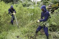 Trump rompe con Colombia, piedra angular de la estrategia internacional antidroga de EEUU