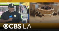 Taste of Soul 2025: Mr. Gramps Cheesecakes