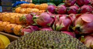New Mexico braces for SNAP delays, governor calls for end to shutdown