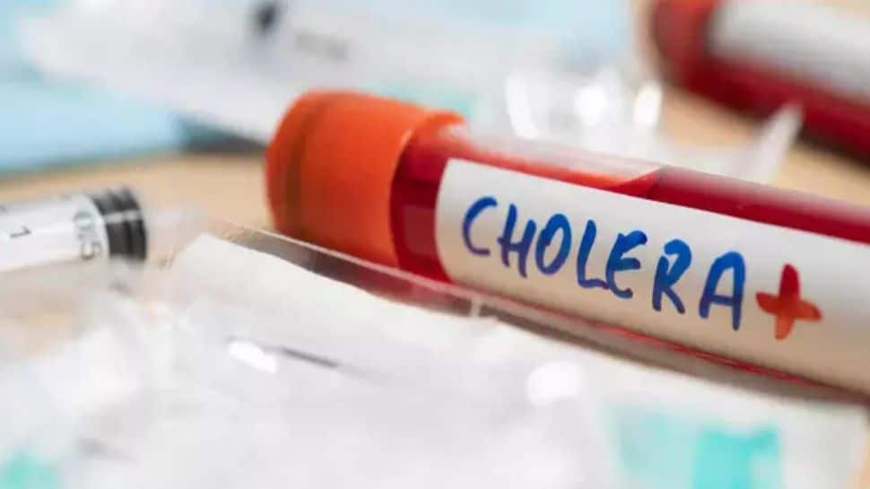 What’s In Delhi’s Water? Cholera Cases Explode Across The National Capital, Hospitals Overwhelmed