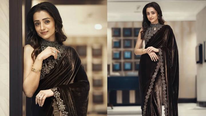 Trisha Krishnan responds humorously to Chandigarh businessman marriage rumours
