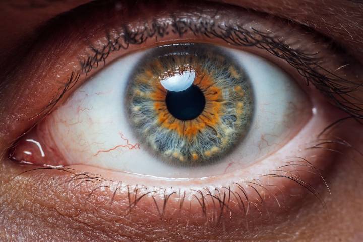 Participan 5 países. Con un chip ocular y unos anteojos devuelven la visión a pacientes con degeneración macular