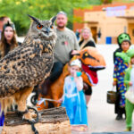 3-day Spooky Safari event returns to Phoenix Zoo for scary good time
