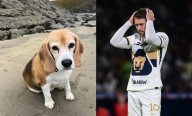 Aaron Ramsey, jugador de Pumas, ofrece 10 mil dólares para recuperar a su perrita