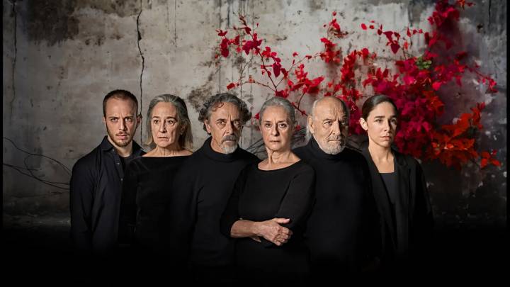 Regresa a Teatros del Canal la exitosa obra 'Todos pájaros' de Wajdi Mouawad con la guerra en Gaza de fondo