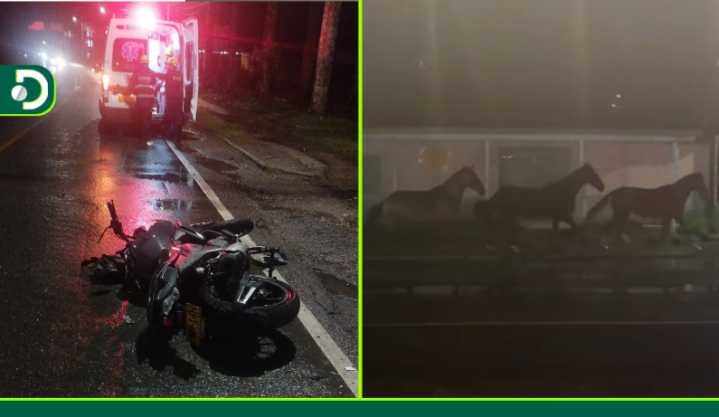 Motociclista resultó herido tras chocar contra un caballo: segundo accidente con equinos en vías del Oriente en dos días
