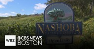 Bolton home to the largest and oldest continuously operating winery in Massachusetts
