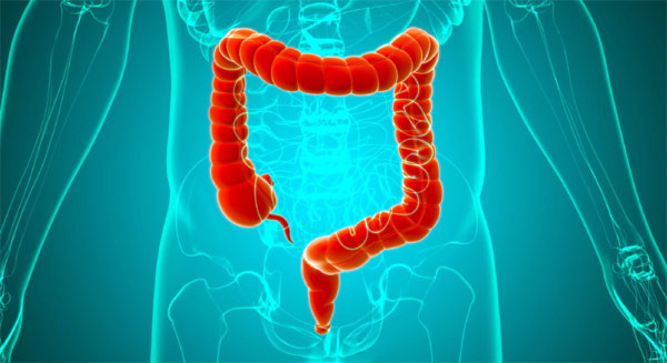 Gut microbiome may hold key to treating depression and anxiety, says groundbreaking study