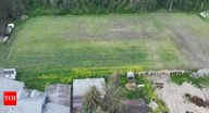 60,000 poppy plants grown behind residence: 4 Indian-origin men charged in Canada