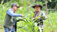 Ecopetrol fortaleció actividades agropecuarias de más de 400 productores rurales de Casanare