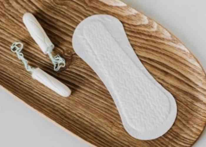 Karnataka govt approves one paid menstrual leave every month