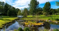 Guess what just showed up in Iceland’s gardens