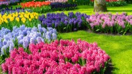 The Flower Bed Trend You'll Start Seeing Everywhere In 2026