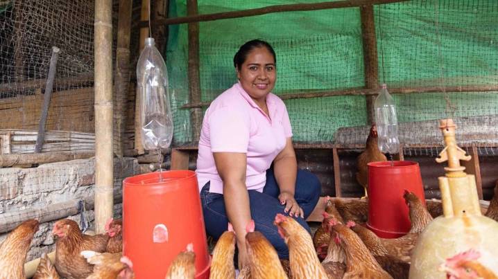 Mujeres rurales: protagonistas de la transformación sostenible en el campo colombiano