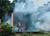 Más de 150 personas afectadas por nuevo brote de leishmaniasis al norte de Monagas