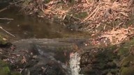 Lake County officials raise concerns over landfill expansion near sensitive water feature