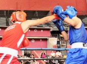 Destaca el boxeo hidalguense en el Festival Olímpico