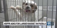 HSPPR in Pueblo asking city and county for increased funding
