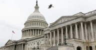 Government shutdown's impact on WIC