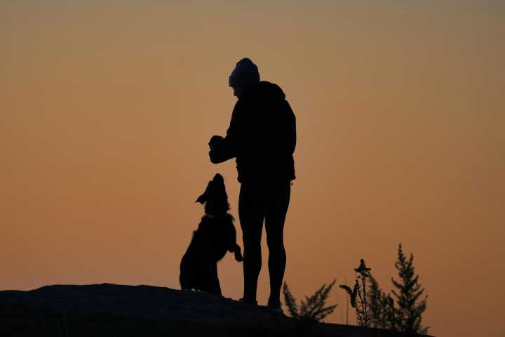 Opinión| Ley Duque, convivencia y derechos: El equilibrio pendiente entre humanos y mascotas