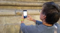 Cómo encontrar la abeja que apareció en la basílica del Pilar y que triunfa como atracción turística