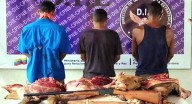 BTI detuvo en flagrancia a cuatreros sacrificando res hurtada en Tucupita