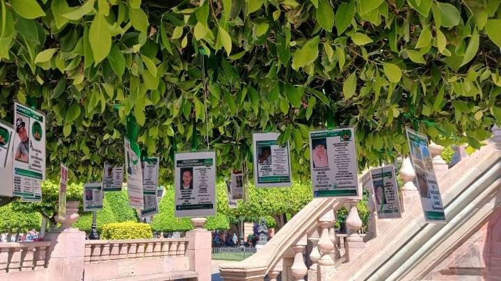 "Nos arrancaron la esperanza": Reinstalan fichas de desaparecidos en "Árbol de la Esperanza" en León