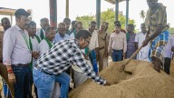 What is the problem faced by paddy farmers of Tamil Nadu?