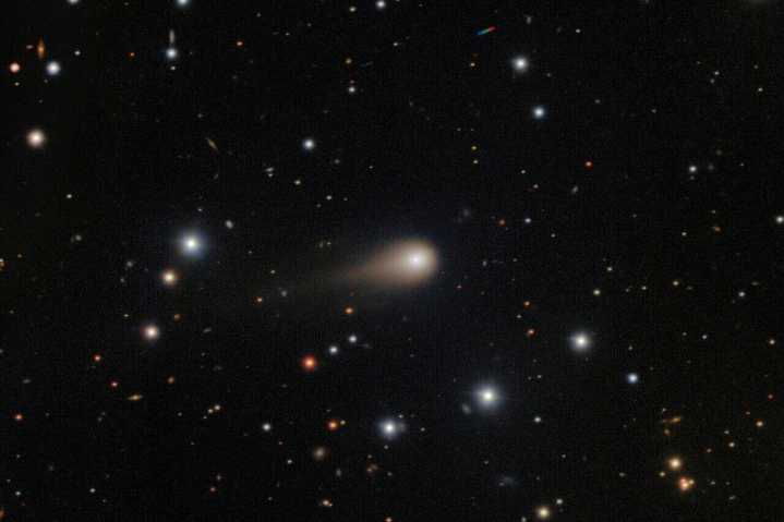 Rare comet visible in New England: Best viewing locations for tonight