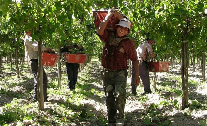 “Es muy importante para los trabajadores temporarios”