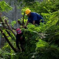 Melissa strengthens into hurricane, cutting slow path to Jamaica