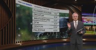 North Texas sees sunshine Sunday after soaking rains; fog returns Monday
