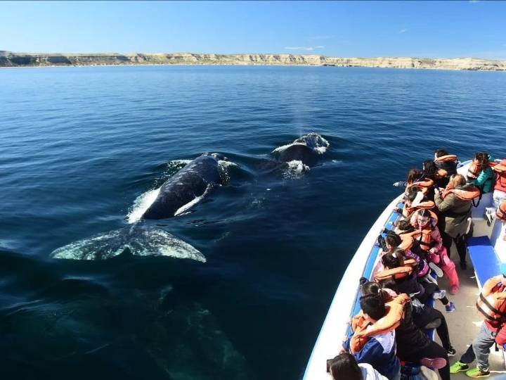 Patagonia Fantástica se promociona en Córdoba