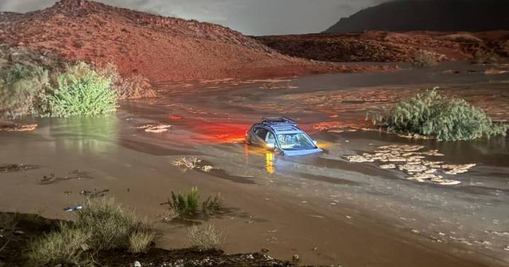 Driver and dog rescued from floodwaters near Washington City