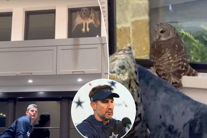 Cowboys coach Brian Schottenheimer's house was invaded by an owl