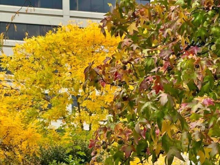 Chilly, rainy weekend weather ahead for Portland